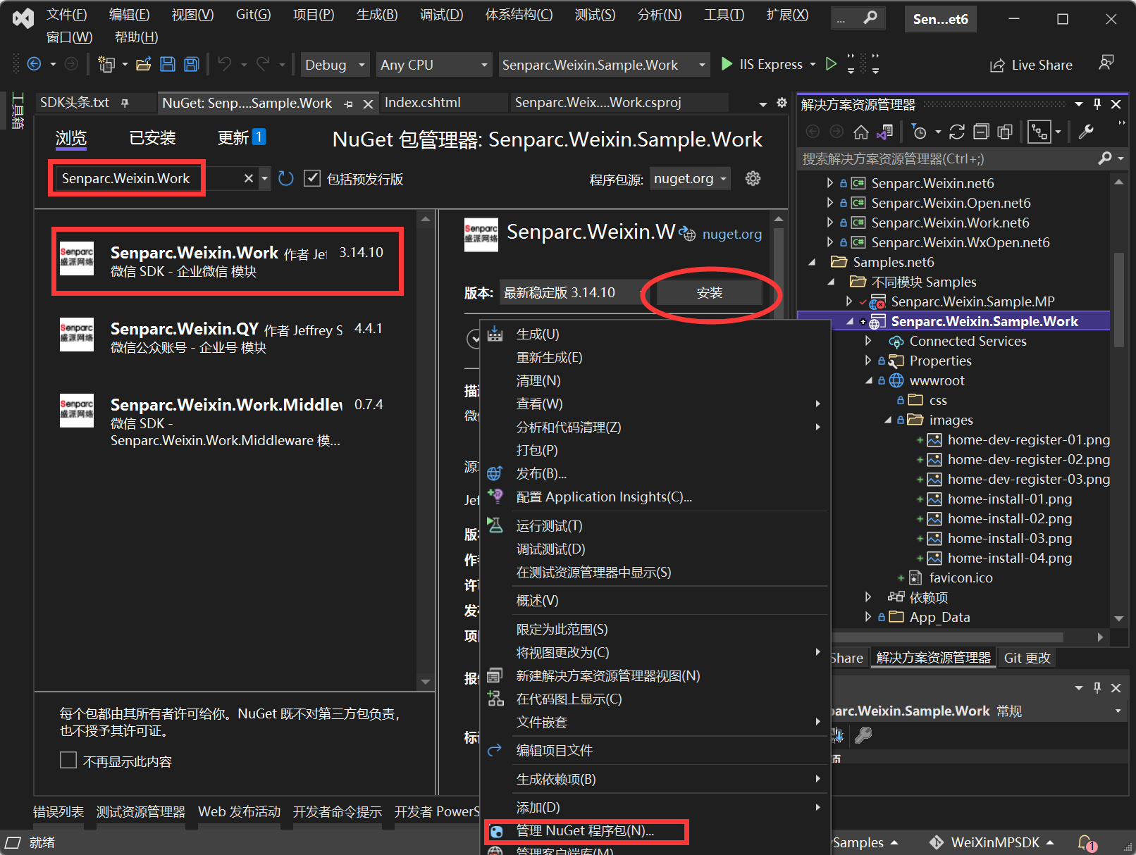 通过 Visual Studio 安装