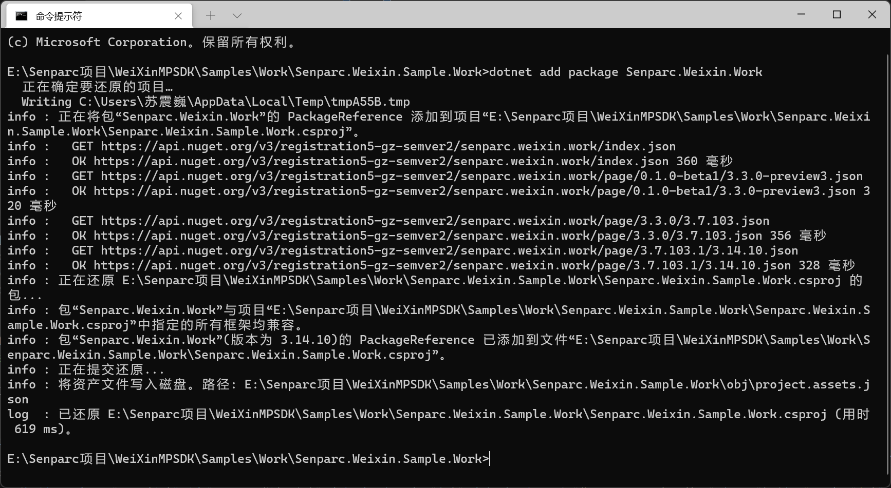 通过 dotnet CLI 安装
