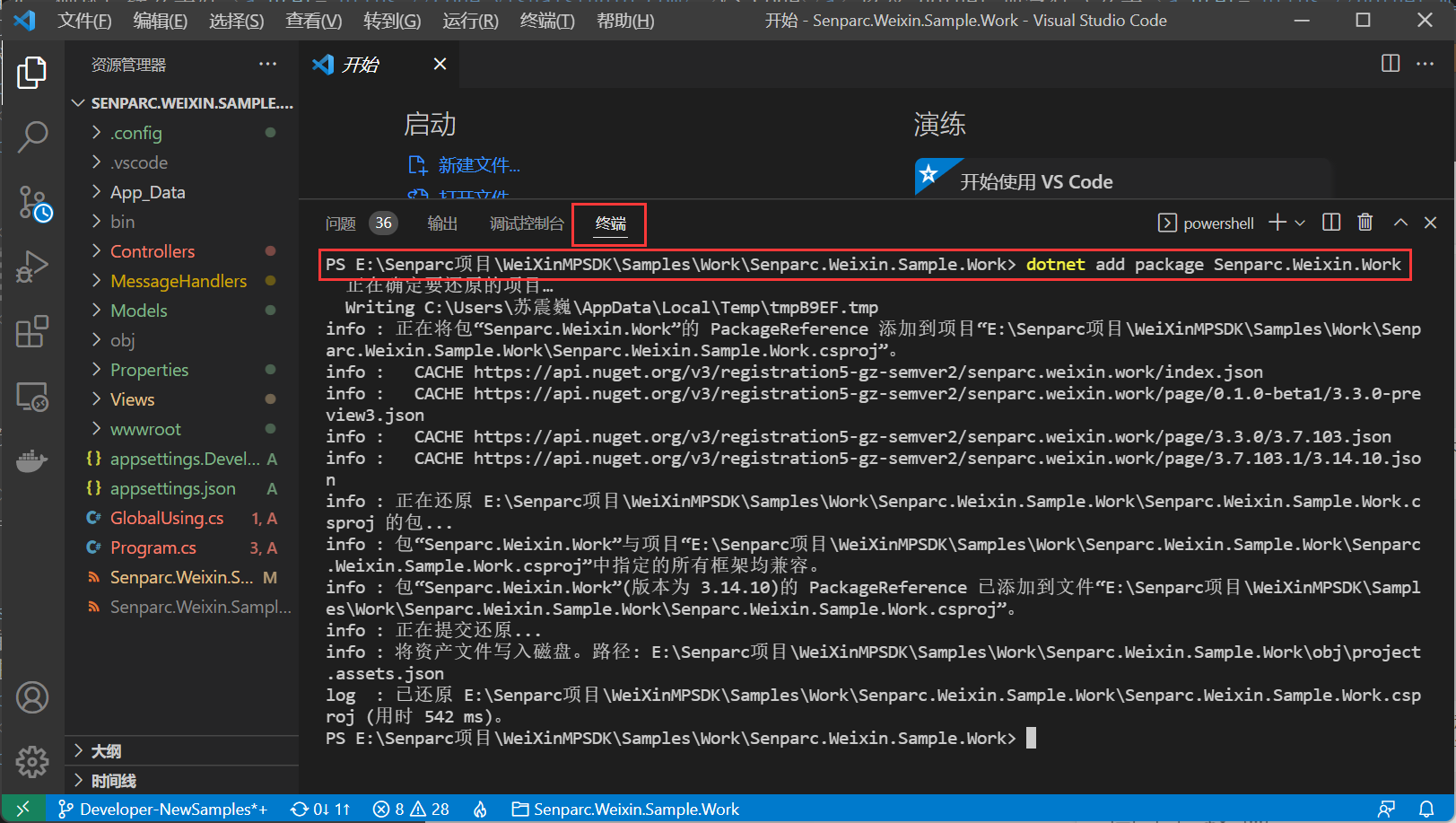 通过 VS Code 安装